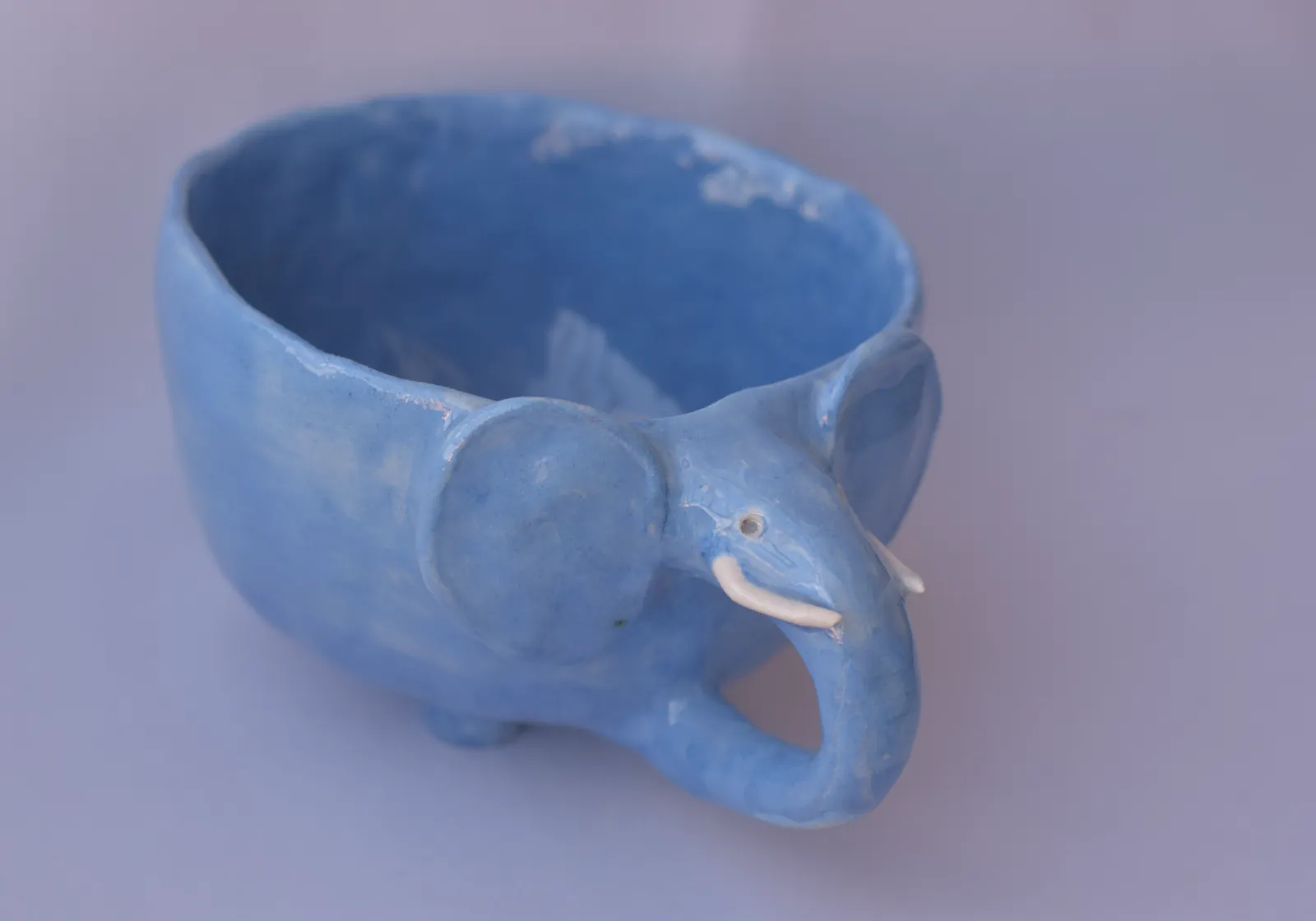 Taza Gaby (elefante) — foto 3