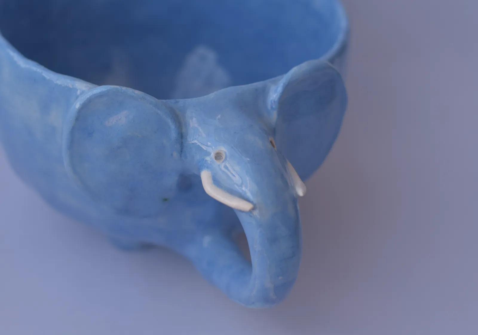Taza Gaby (elefante) — foto 4