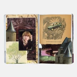Print collage Ron Weasley — foto 5